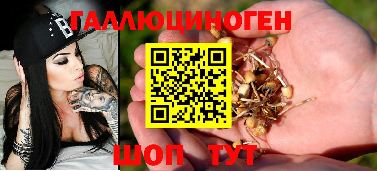 Стрежевой  Галлюциногенные грибы MAGIC MUSHROOMS  Вход с VPN 